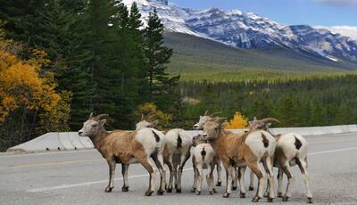 Kanada - Dwie strony Kanady