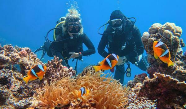  Egipt - Kair & Sharm el Sheikh - Piramidy + nurkowanie - wylot z Katowic (all inclusive)