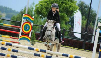 Zakrzów - kurs jeździecki