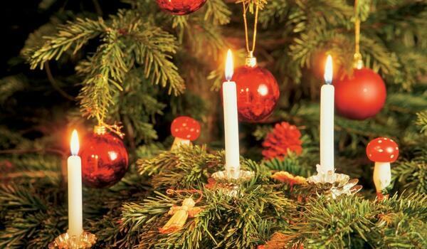  Ustronie Morskie - Ośrodek Alka Sun Resort