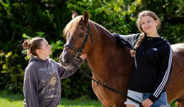  Zbrosławice - kurs pracy z ziemi z koniem