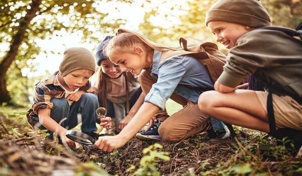  Olsztyn -  Jura, kolonia,  a może jurajskie morze?