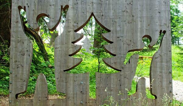  Lesko - Wrota Bieszczad - 9 krajów w 9 dni - kolonia